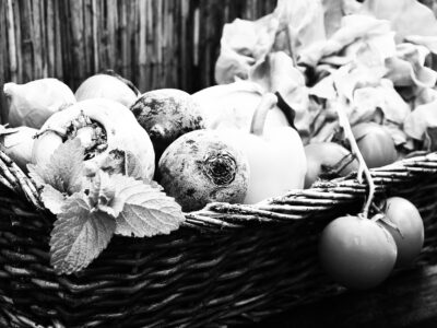 HomegrownVegWide HomegrownVegWide